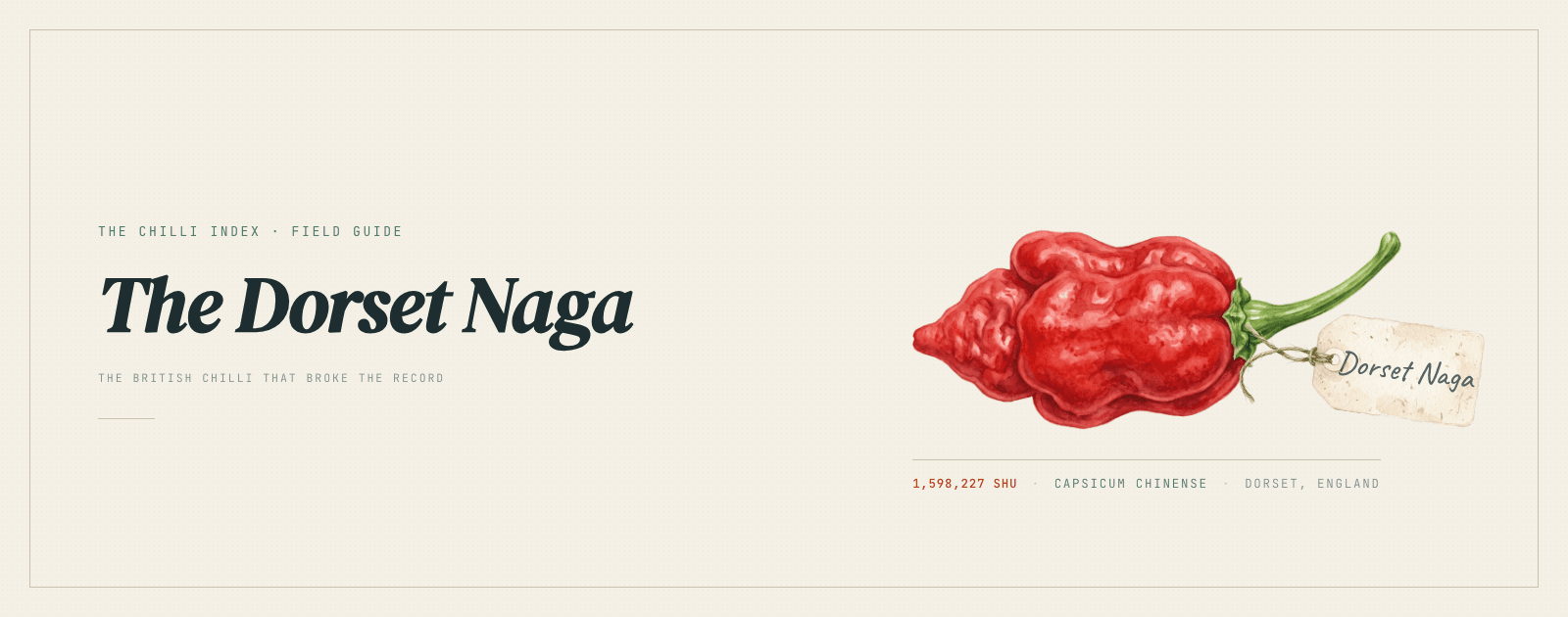 Dorset Naga: the British chilli that broke the record