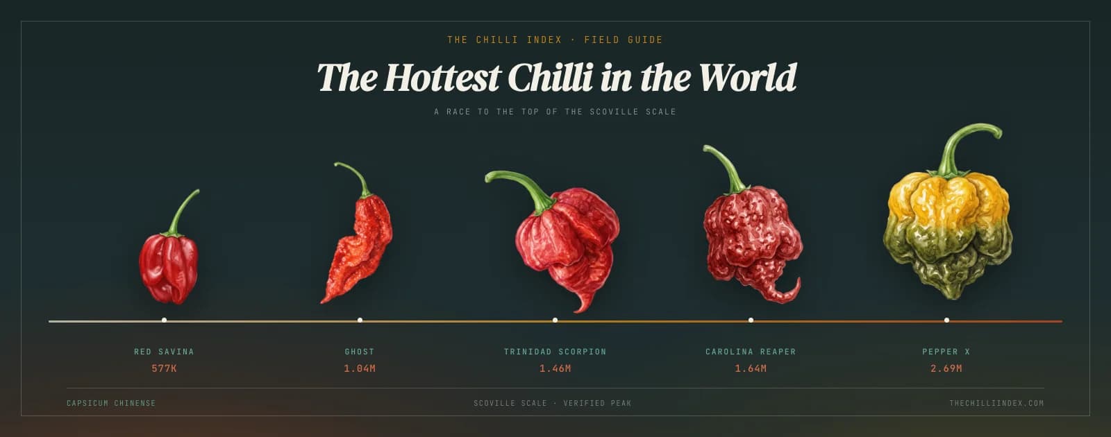 What Is the Hottest Chilli in the World? (2026, with receipts)