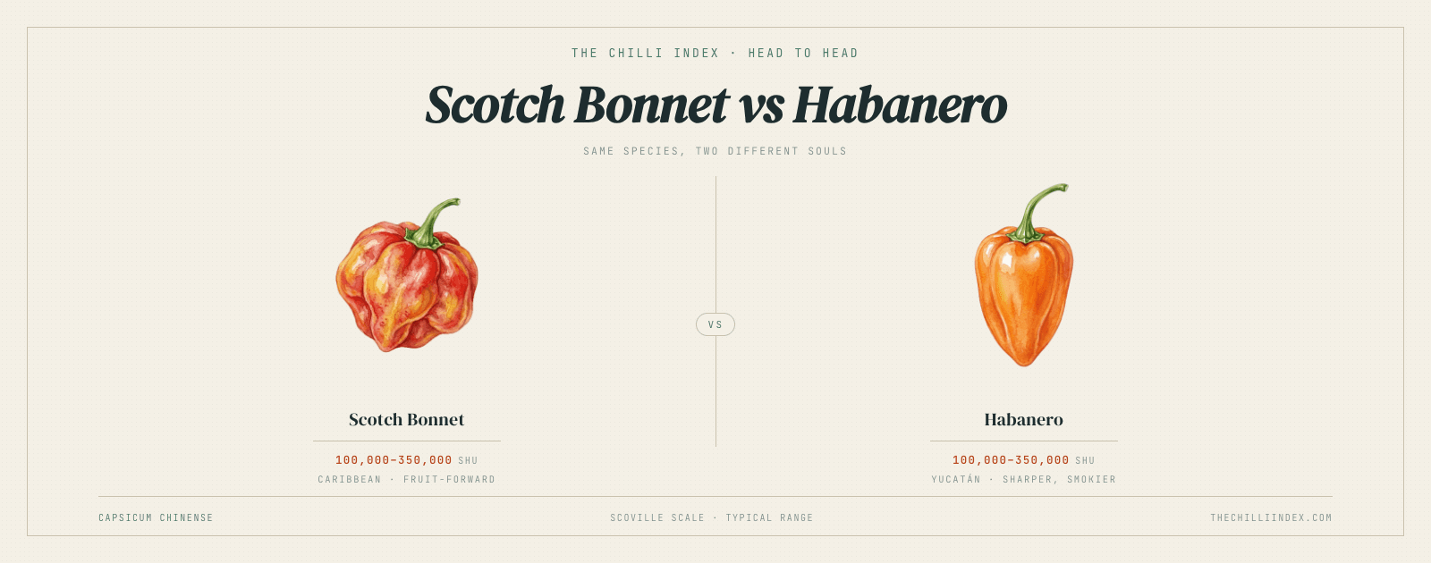 Scotch Bonnet vs Habanero: the actual differences